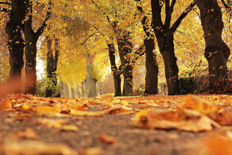Weekend Autunno Cilento